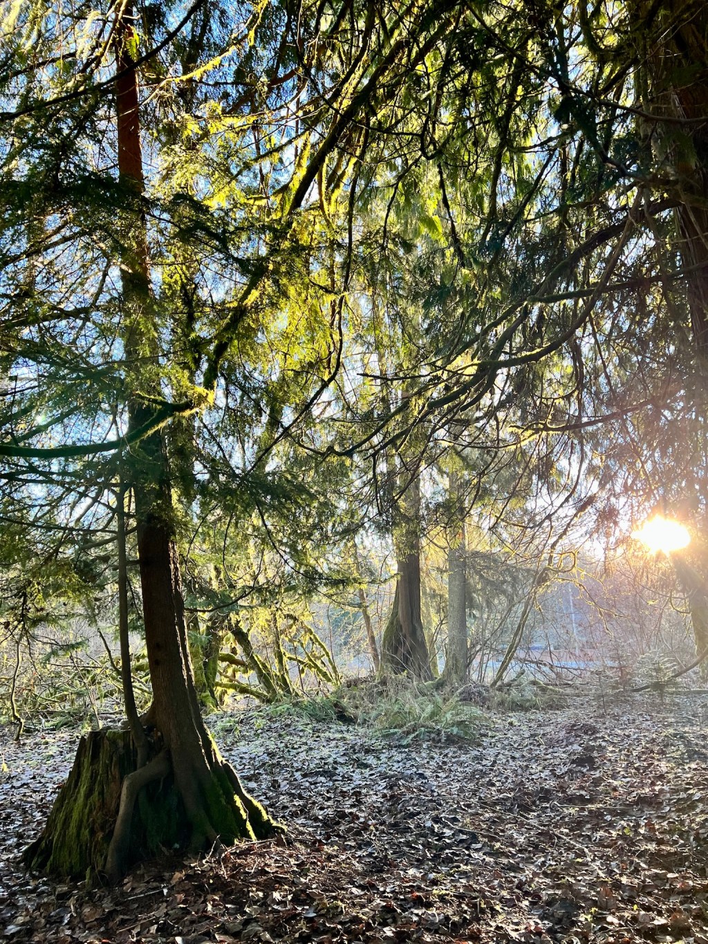 Masks, Systems, and the Game They&nbsp;Play