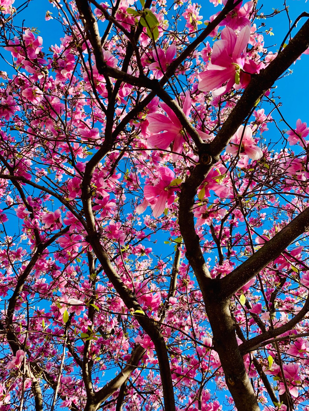 Hearing What Was Never Said