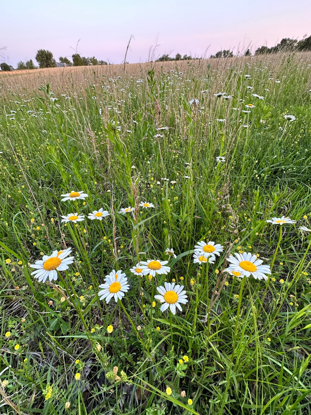 For the Women Who Know