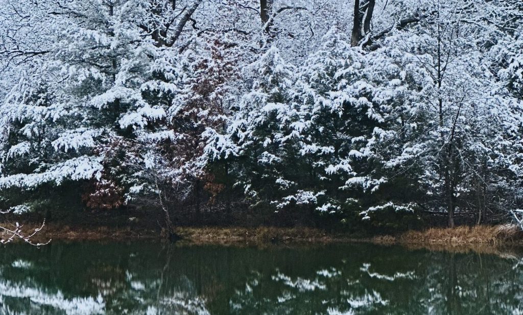 Silent Moves Sparking&nbsp;Change