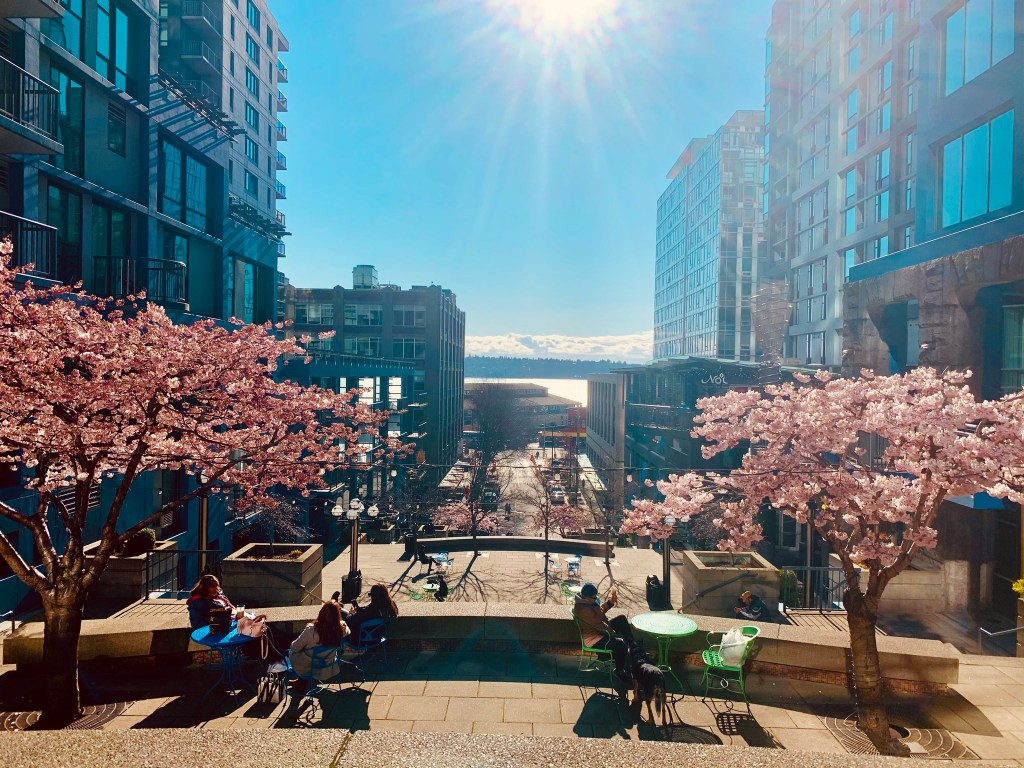 Patterns of Precision: A Quiet Evolution of&nbsp;Leadership